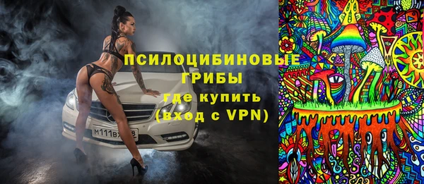 прущие грибы Киренск