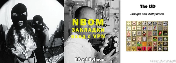прущие грибы Киренск