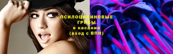 молекула духа Кинешма