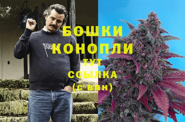 прущие грибы Киренск