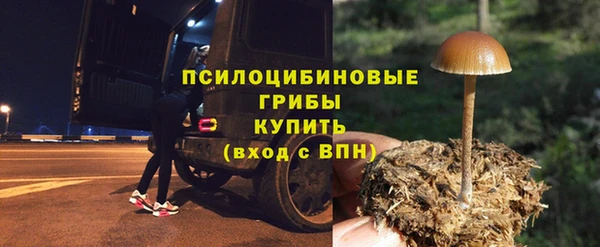 молекула духа Кинешма