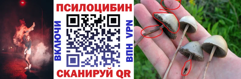 закладка  Горбатов  Псилоцибиновые грибы мухоморы 